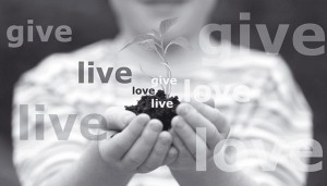 give live love